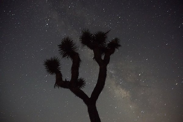 La mejor zona de Joshua Tree para quedarse