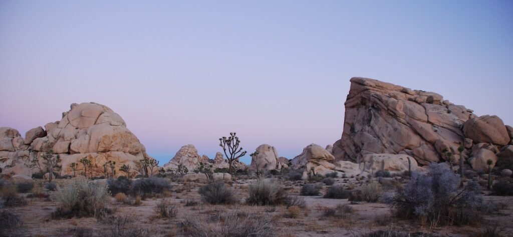 Mejor zona para alojarse en Joshua Tree