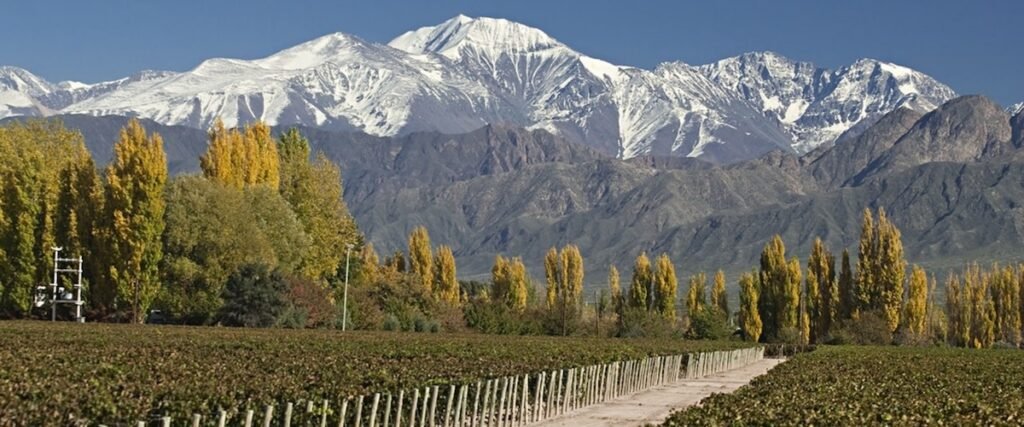 Mejor zona para alojarse en Luján de Cuyo